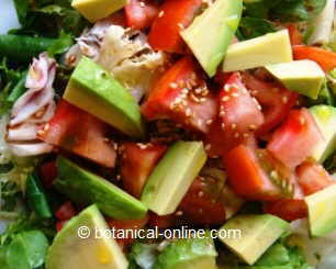 salad with mixed greens, avocado, tomato and vinaigrette
