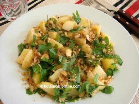 Potato salad with watercress