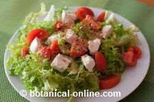 green salad with cheese, tomato and linseed