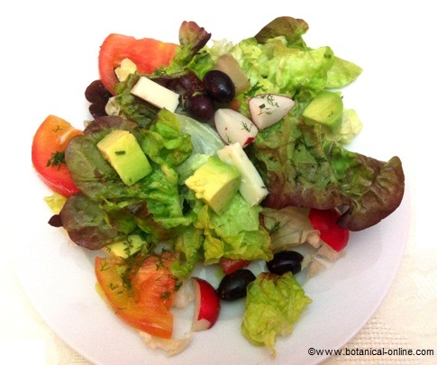 lettuce, tomato, avocado, radishes, black olives and soft cheese