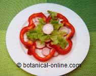 Salad rich in vitamin C