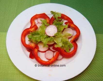 Salad containing much vitamin C