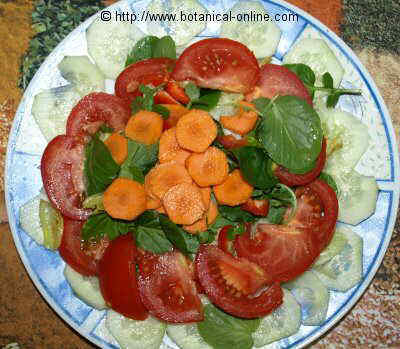 watercress salad