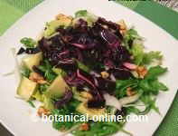 Salad with purple cabbage and avocado