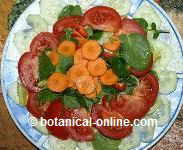 Watercress salad