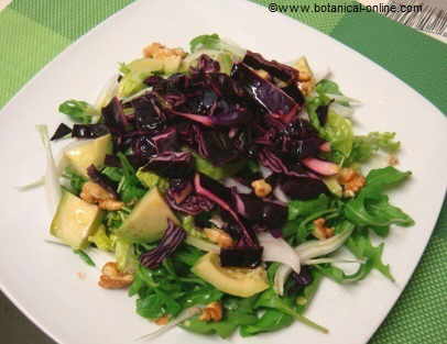 mixed salad with arugula, avocado, red cabbage, onion and nuts.