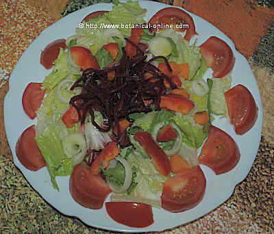 Varied salad