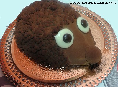 Chocolate hedgehog cake