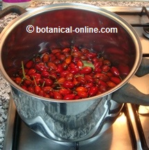 Rosehip Marmalade