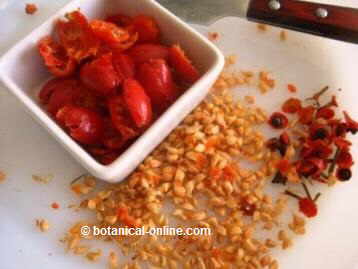 Rose hip preparation