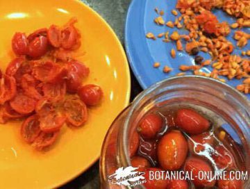 canned rosehip recipe montserrat enrich