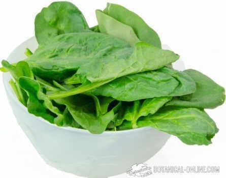 Spinach in a bowl