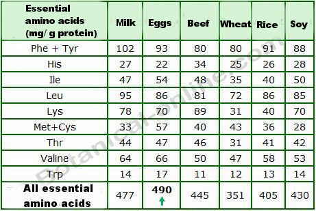 essential aminoacids table