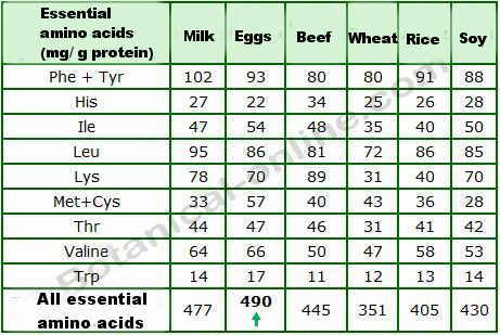 Biological Value Of Protein Chart