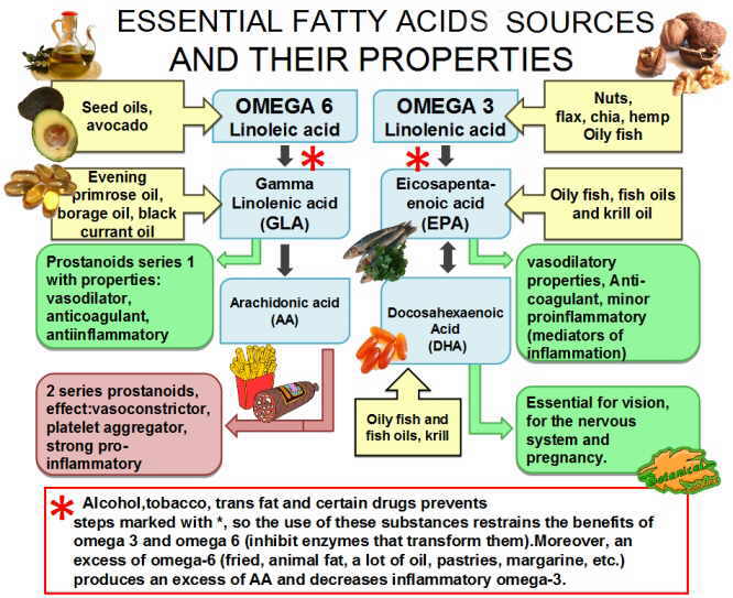 esquema fuentes alimentarias de acidos grasos esenciales omega