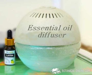 essential oil diffuser