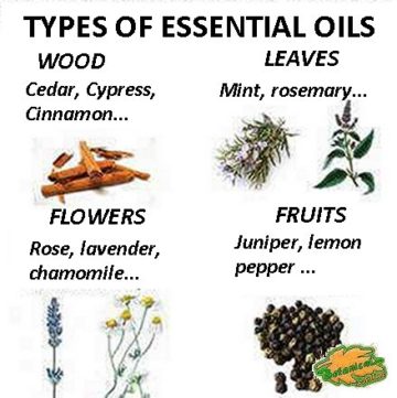 types of essential oils