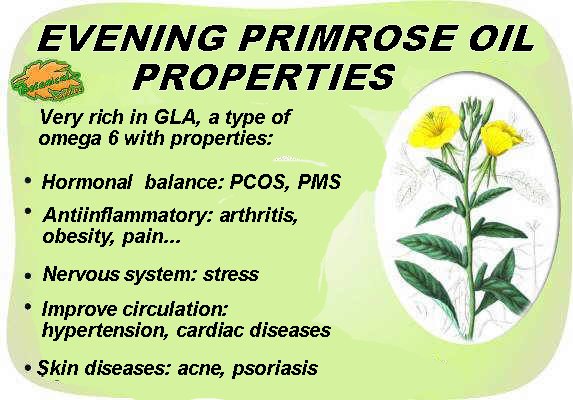 primrose oil properties drawing