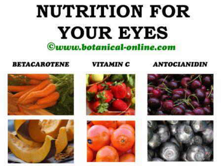 Nutrition diet for eyes and eyesight