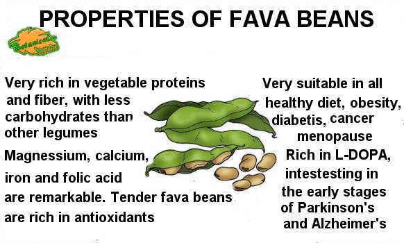 Summary sheet with the properties of the beans