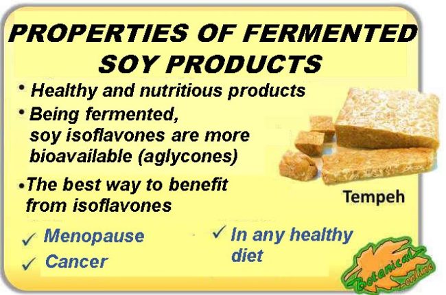 Medicinal properties of soy fermented products, such as tempeh or miso, because of its isoflavones 