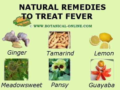natural remedies fever