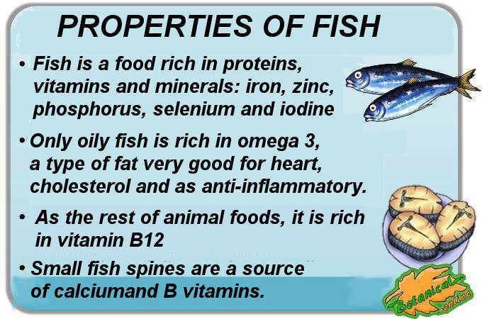 properties and benefits of fish, mineral vitamins