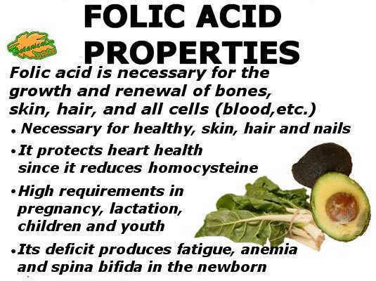 Summary of the main properties of folic acid or vitamin B9