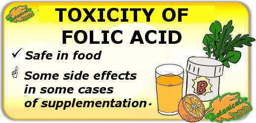 folic acid toxicity