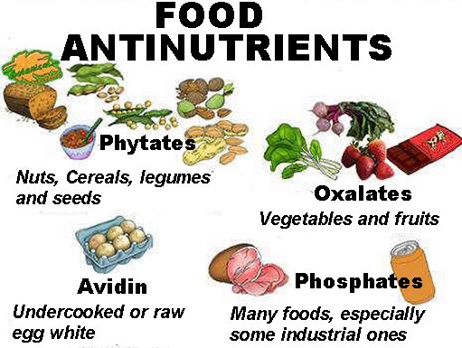 Food antinutrients in legumes, cereal and vegetables: Phytates, oxalates, phosphates