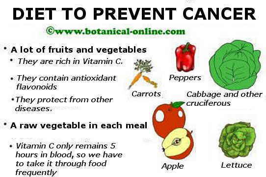 Dieta anticancerigena