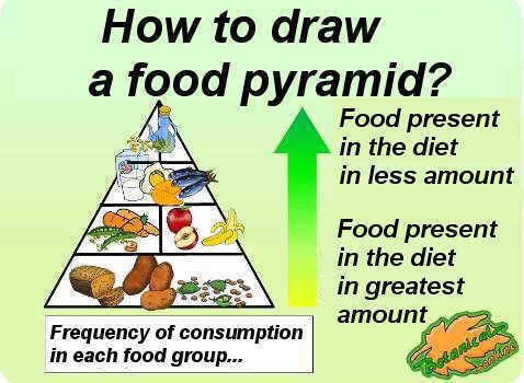 Visual scheme on how to draw a food pyramid