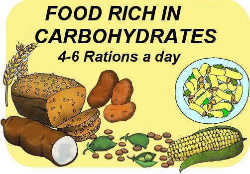 food pyramid, carbohydrates