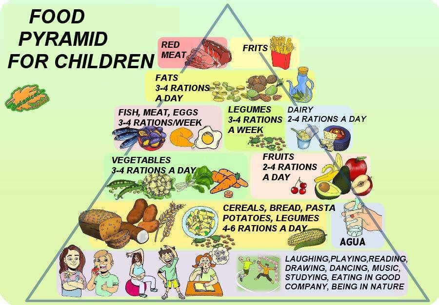 Pyramid of food for children