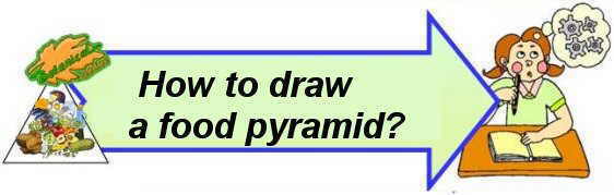 how to draw a food pyramid