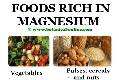 Magnesium food