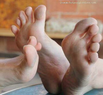 feet