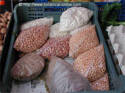 legumes in an open street market