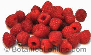 Raspberries