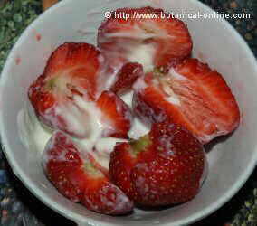 Yogurt and strawberries