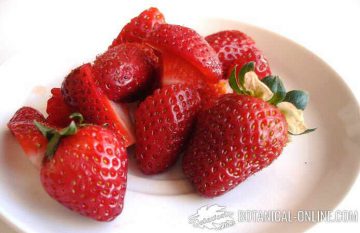 strawberries