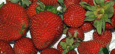 strawberries