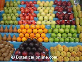 fruit stall