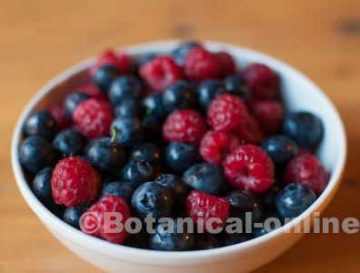 Blueberries and other red fruits