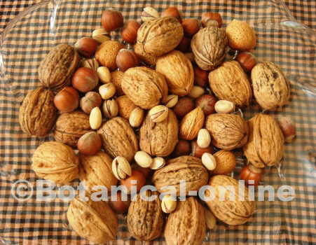 Photo of nuts