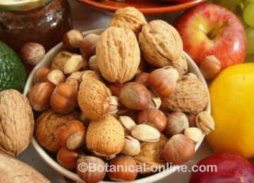 Dry fruits