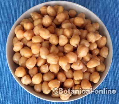 Cooked chickpeas dish 