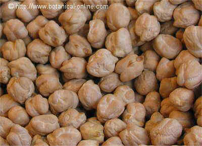 chickpeas