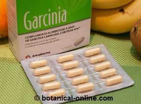 capsules with extract of Garcinia cambogia