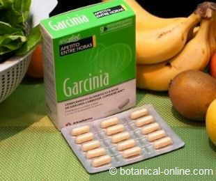extract of Garcinia cambogia